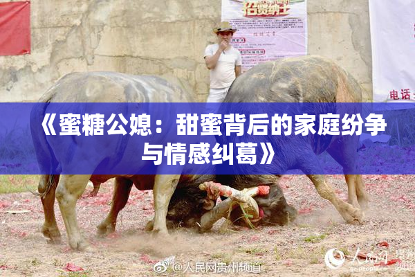 《蜜糖公媳：甜蜜背后的家庭纷争与情感纠葛》