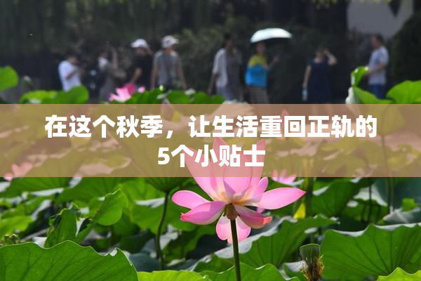 在这个秋季，让生活重回正轨的5个小贴士