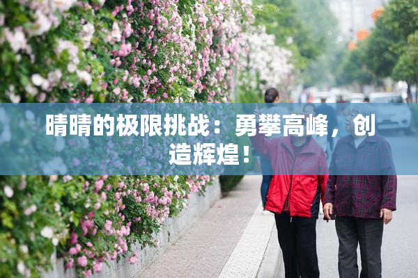 晴晴的极限挑战：勇攀高峰，创造辉煌！