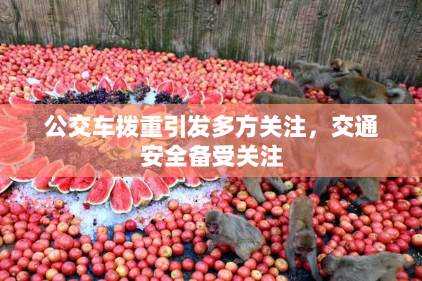 公交车拨重引发多方关注，交通安全备受关注