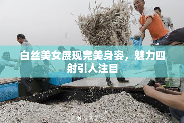 白丝美女展现完美身姿，魅力四射引人注目