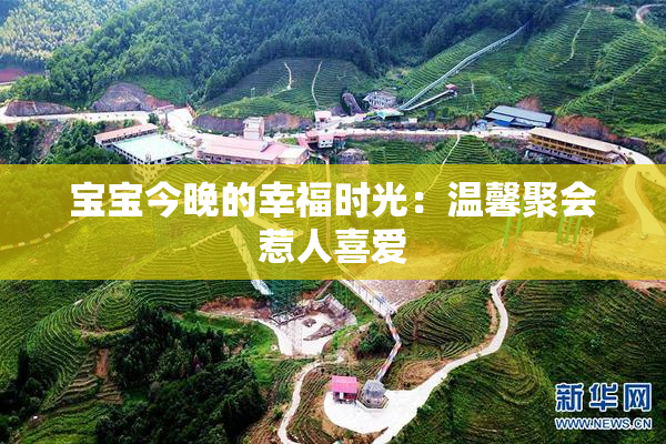 宝宝今晚的幸福时光：温馨聚会惹人喜爱