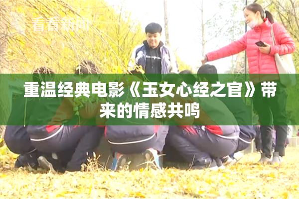 重温经典电影《玉女心经之官》带来的情感共鸣