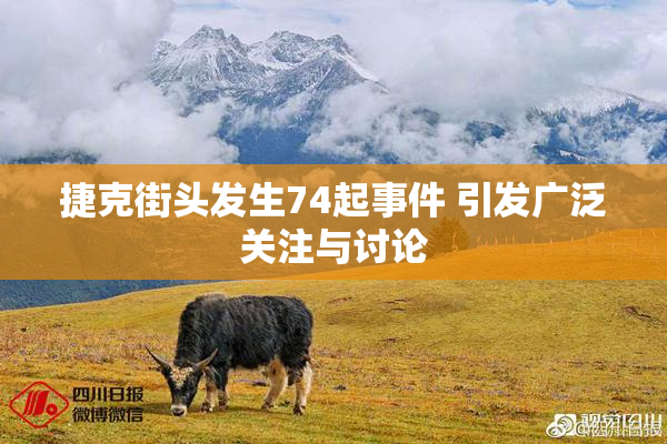 捷克街头发生74起事件 引发广泛关注与讨论