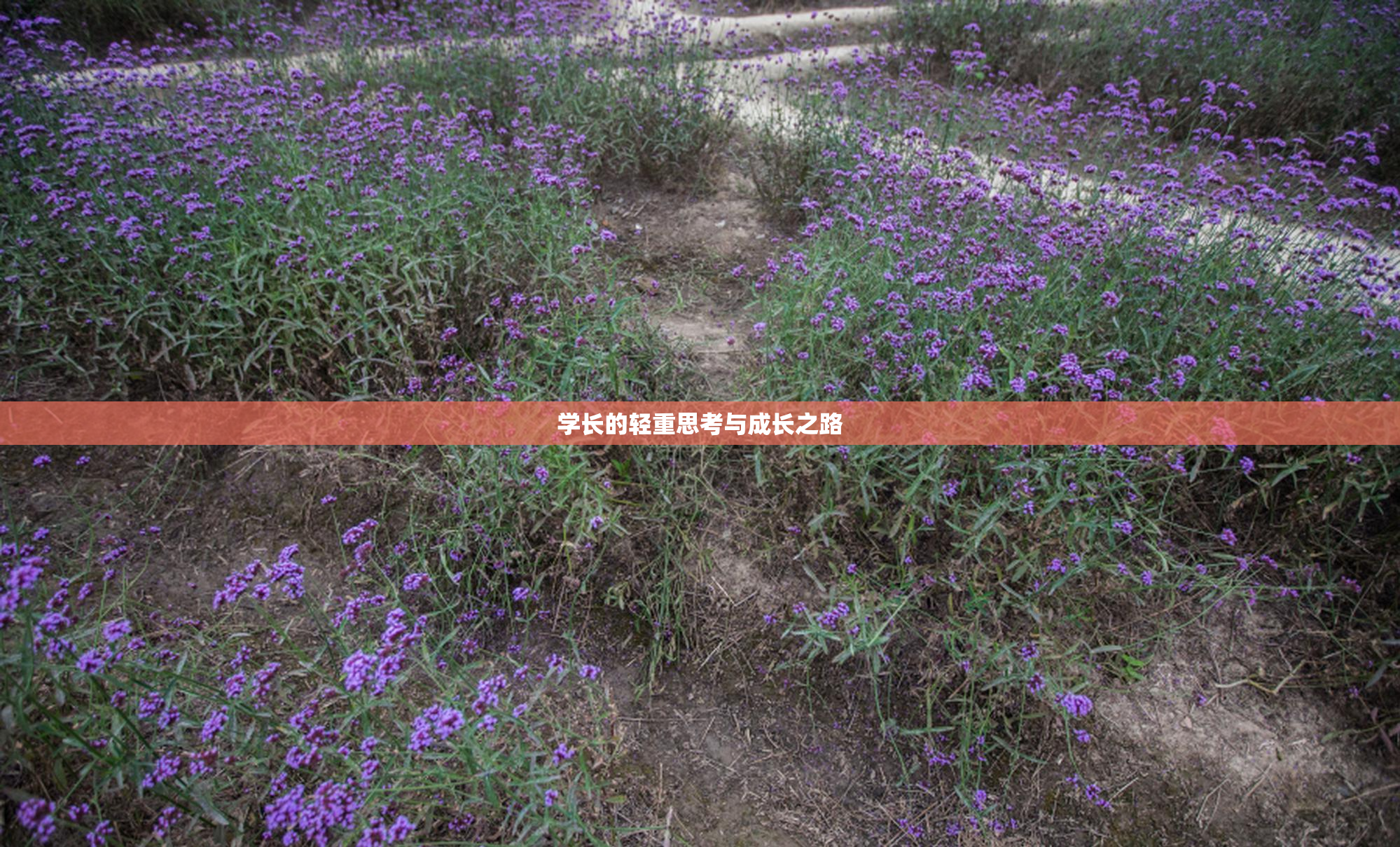 学长的轻重思考与成长之路