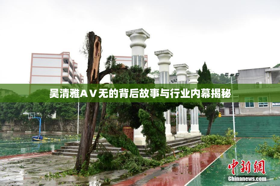 吴清雅AⅤ无的背后故事与行业内幕揭秘