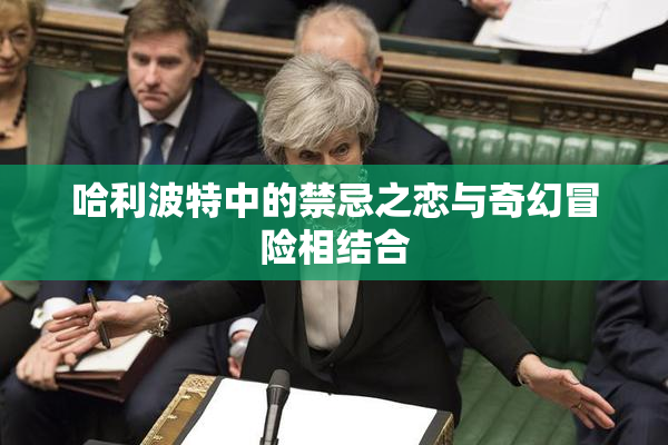 哈利波特中的禁忌之恋与奇幻冒险相结合