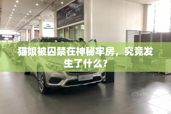 猫娘被囚禁在神秘牢房，究竟发生了什么？