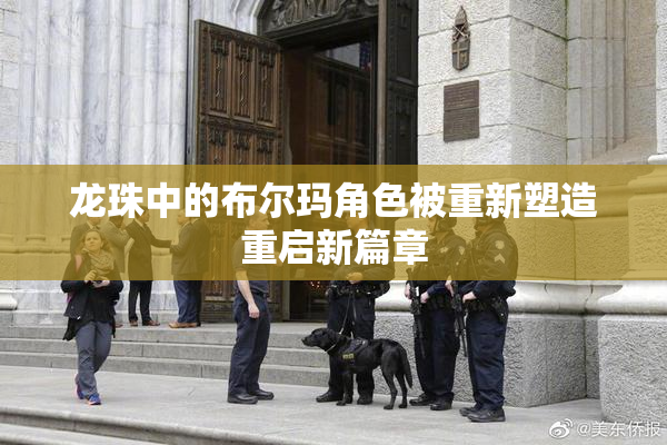 龙珠中的布尔玛角色被重新塑造重启新篇章