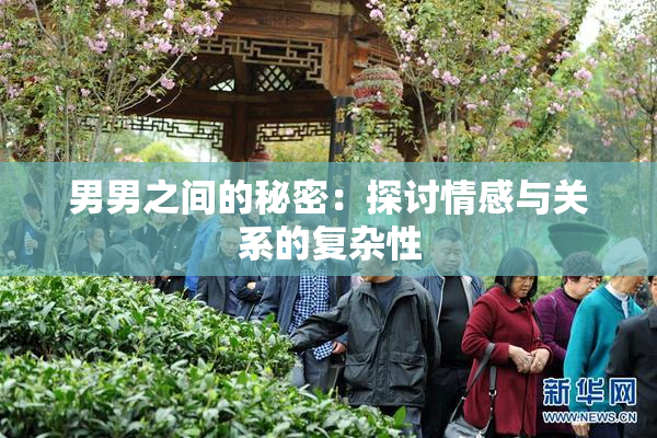 男男之间的秘密：探讨情感与关系的复杂性