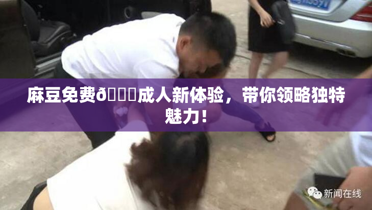 麻豆免费🔞成人新体验，带你领略独特魅力！