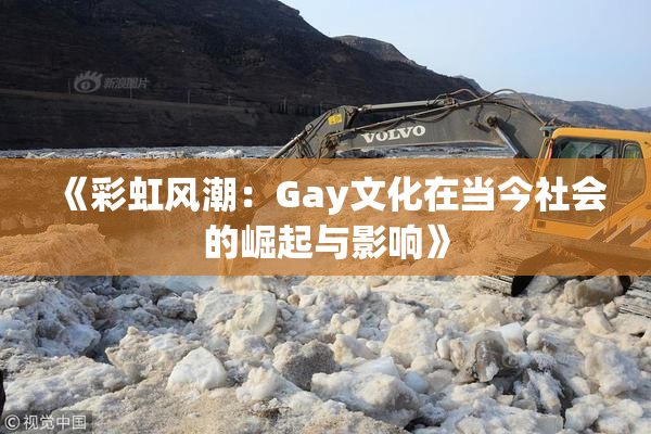 《彩虹风潮：Gay文化在当今社会的崛起与影响》