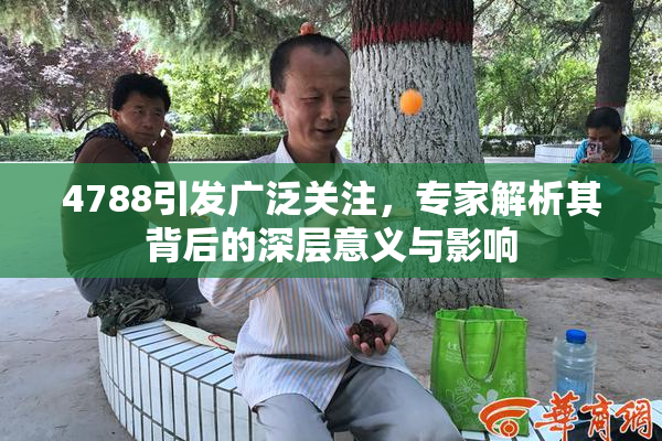 4788引发广泛关注，专家解析其背后的深层意义与影响