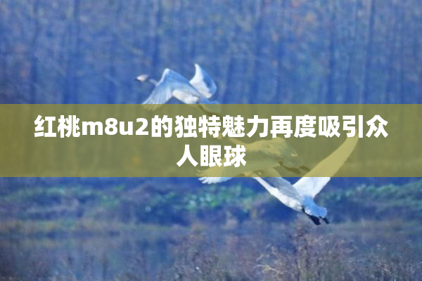 红桃m8u2的独特魅力再度吸引众人眼球