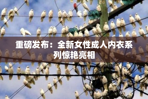 重磅发布：全新女性成人内衣系列惊艳亮相