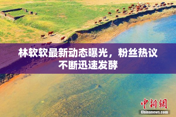 林软软最新动态曝光，粉丝热议不断迅速发酵