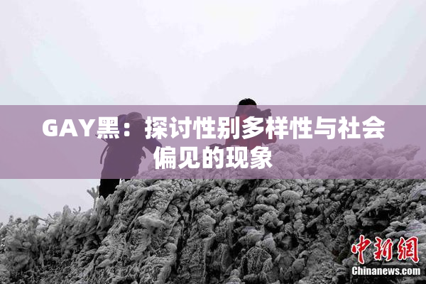 GAY黑：探讨性别多样性与社会偏见的现象