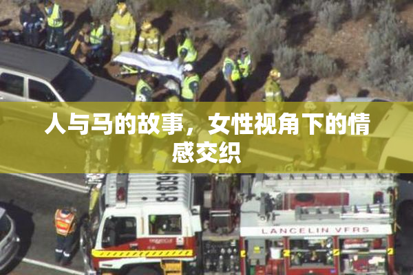 人与马的故事，女性视角下的情感交织