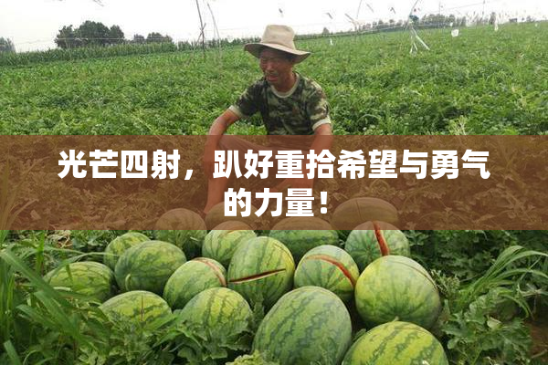 光芒四射，趴好重拾希望与勇气的力量！