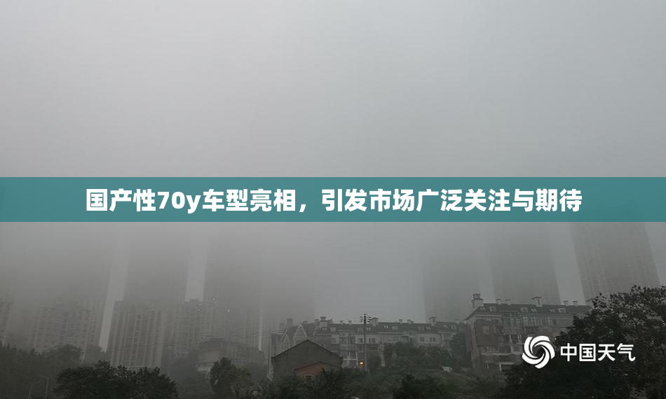 国产性70y车型亮相，引发市场广泛关注与期待