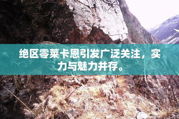 绝区零莱卡恩引发广泛关注，实力与魅力并存。