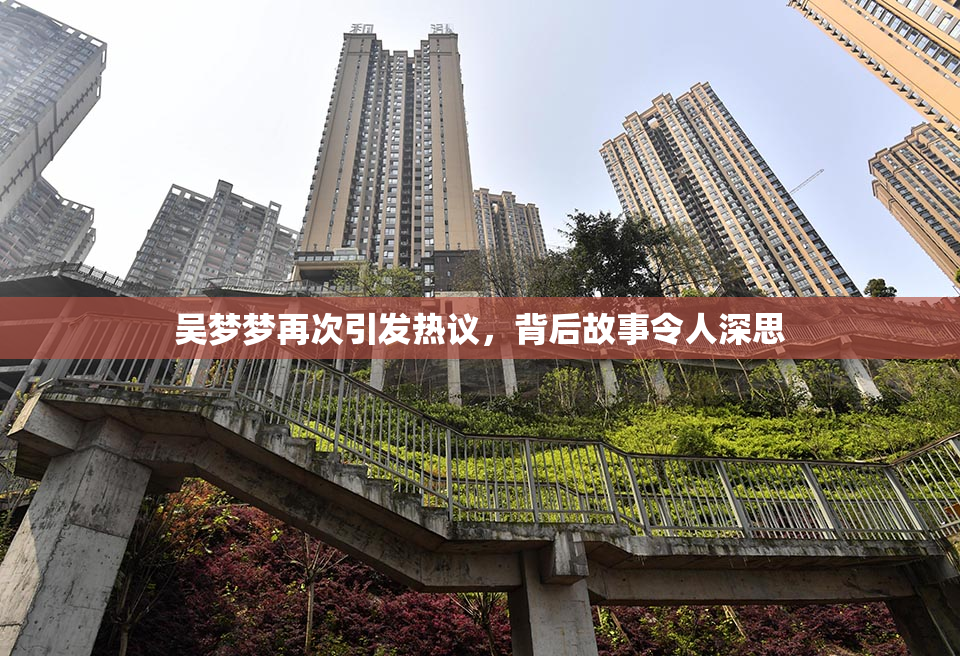 吴梦梦再次引发热议，背后故事令人深思