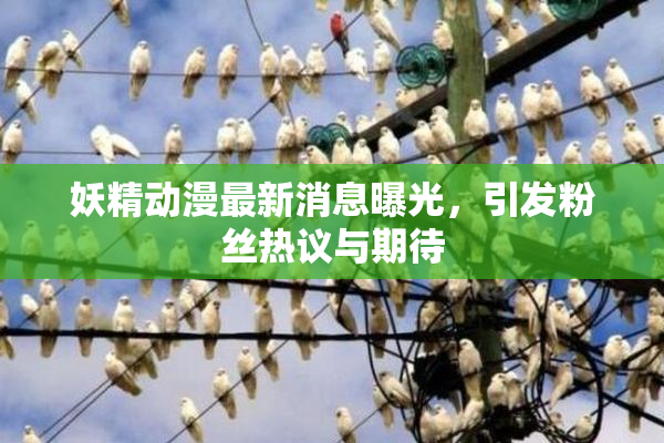 妖精动漫最新消息曝光，引发粉丝热议与期待