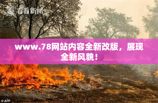 www.78网站内容全新改版，展现全新风貌！