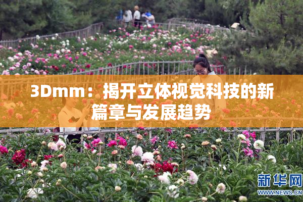 3Dmm：揭开立体视觉科技的新篇章与发展趋势