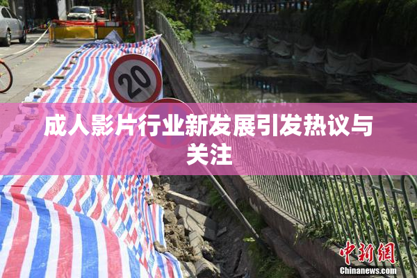 成人影片行业新发展引发热议与关注
