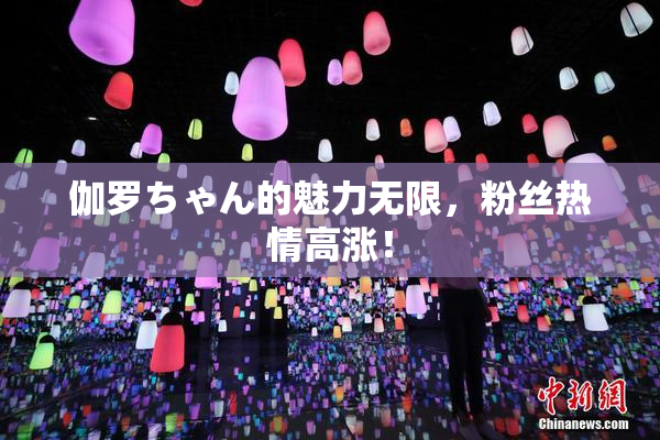 伽罗ちゃん的魅力无限，粉丝热情高涨！