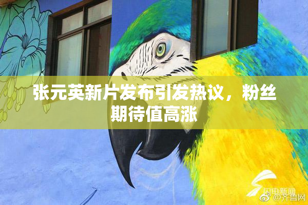 张元英新片发布引发热议，粉丝期待值高涨