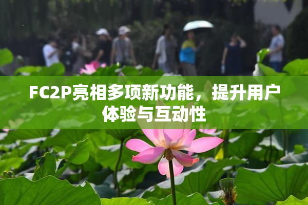 FC2P亮相多项新功能，提升用户体验与互动性