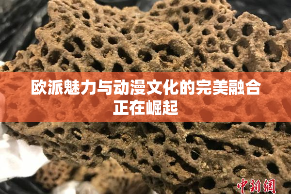 欧派魅力与动漫文化的完美融合正在崛起