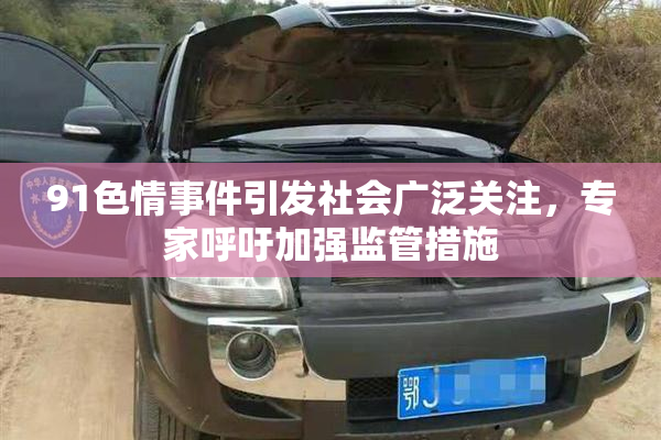91色情事件引发社会广泛关注，专家呼吁加强监管措施