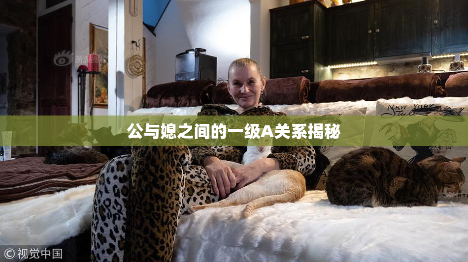 公与媳之间的一级A关系揭秘