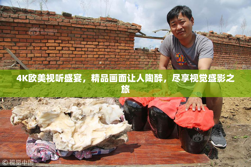 4K欧美视听盛宴，精品画面让人陶醉，尽享视觉盛影之旅