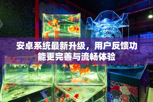 安卓系统最新升级，用户反馈功能更完善与流畅体验