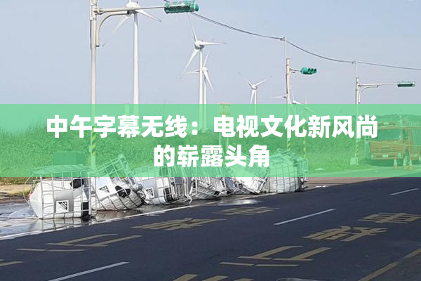 中午字幕无线：电视文化新风尚的崭露头角
