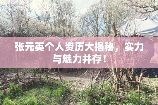 张元英个人资历大揭秘，实力与魅力并存！