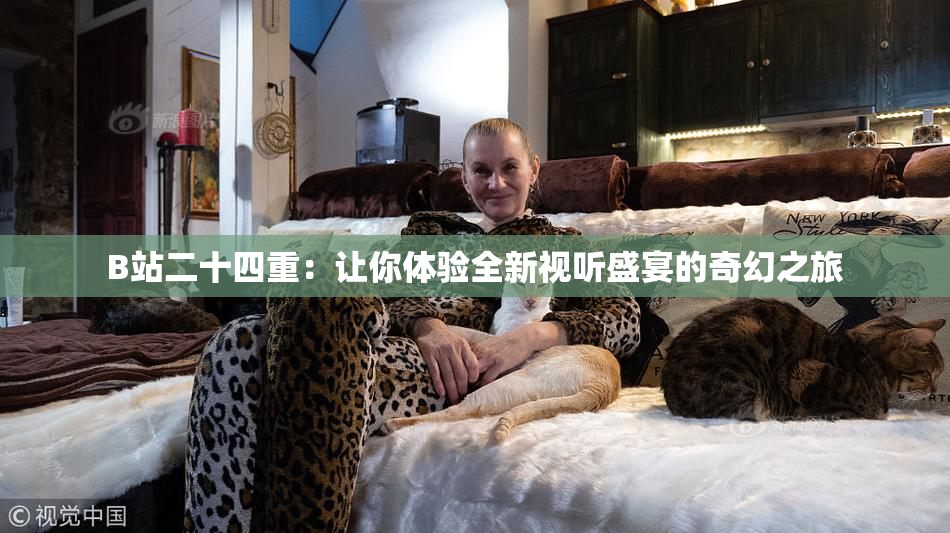 B站二十四重：让你体验全新视听盛宴的奇幻之旅
