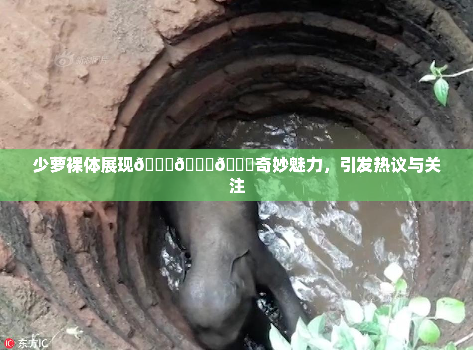 少萝裸体展现🔞🔞🔞奇妙魅力，引发热议与关注