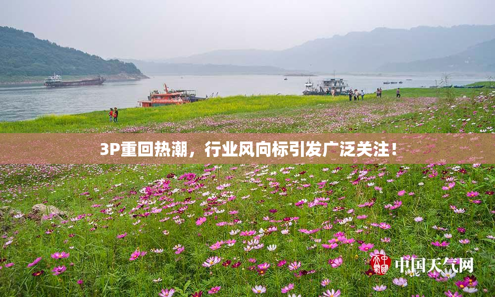 3P重回热潮，行业风向标引发广泛关注！