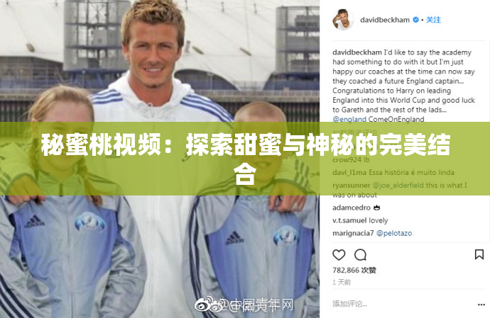 秘蜜桃视频：探索甜蜜与神秘的完美结合