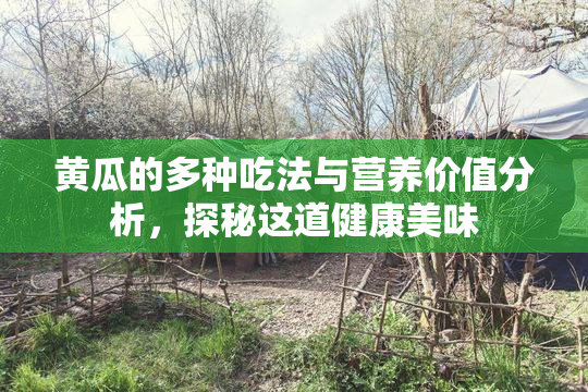 黄瓜的多种吃法与营养价值分析，探秘这道健康美味