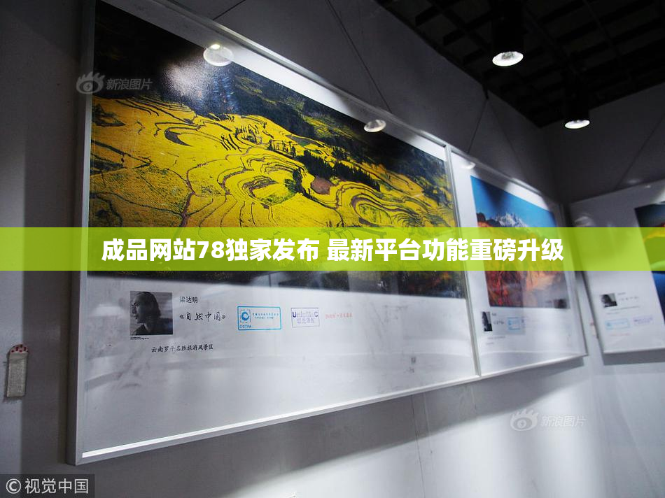 成品网站78独家发布 最新平台功能重磅升级