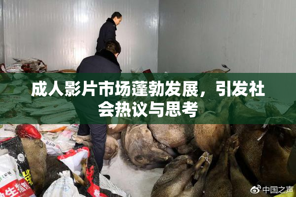 成人影片市场蓬勃发展，引发社会热议与思考