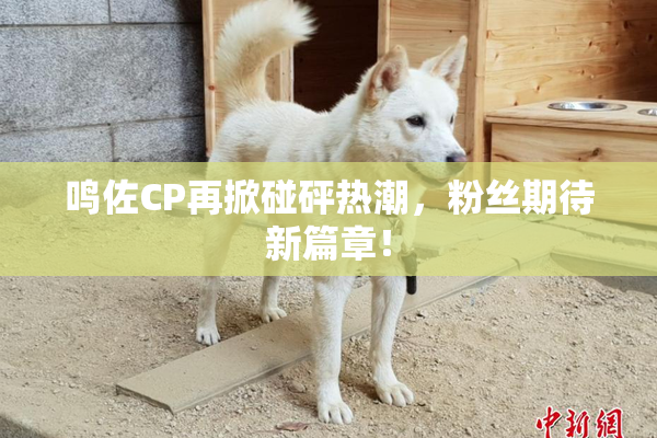 鸣佐CP再掀碰砰热潮，粉丝期待新篇章！
