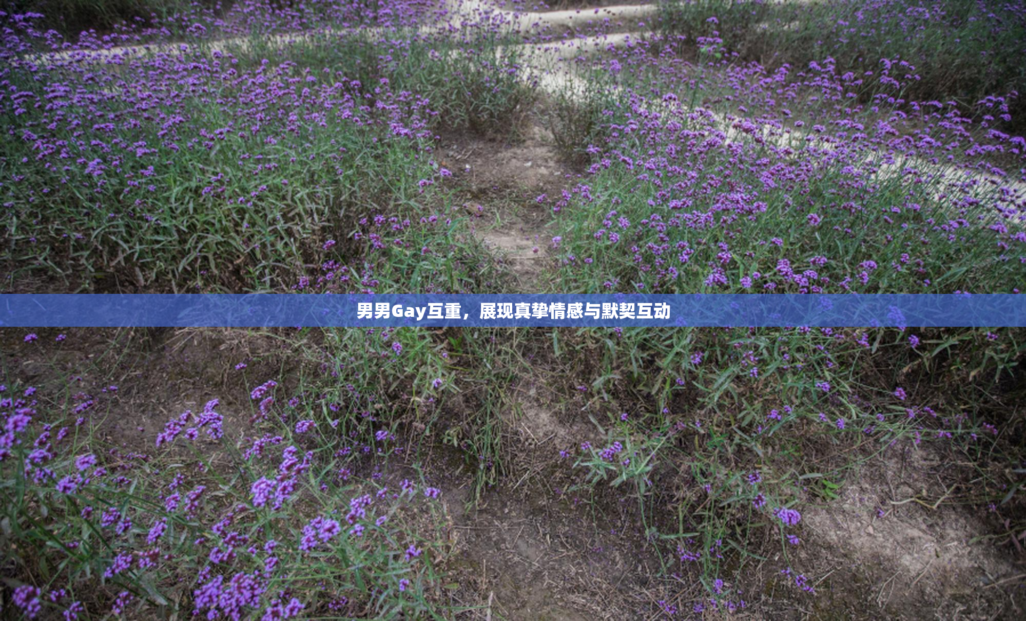 男男Gay互重，展现真挚情感与默契互动