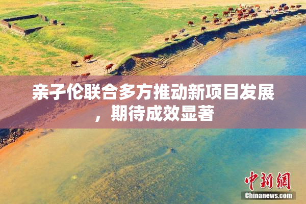 亲孑伦联合多方推动新项目发展，期待成效显著